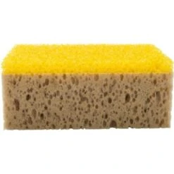 Éponge Double Face Spéciale Insectes De 20cm